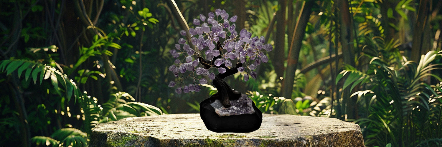 Bonsai