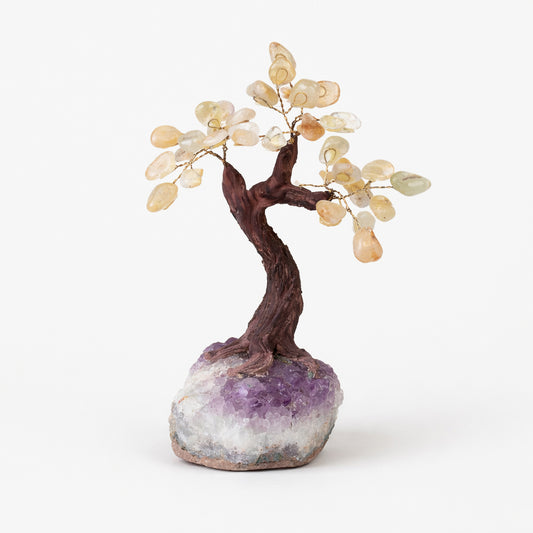 Citrine Tree with Amethyst Geode Base