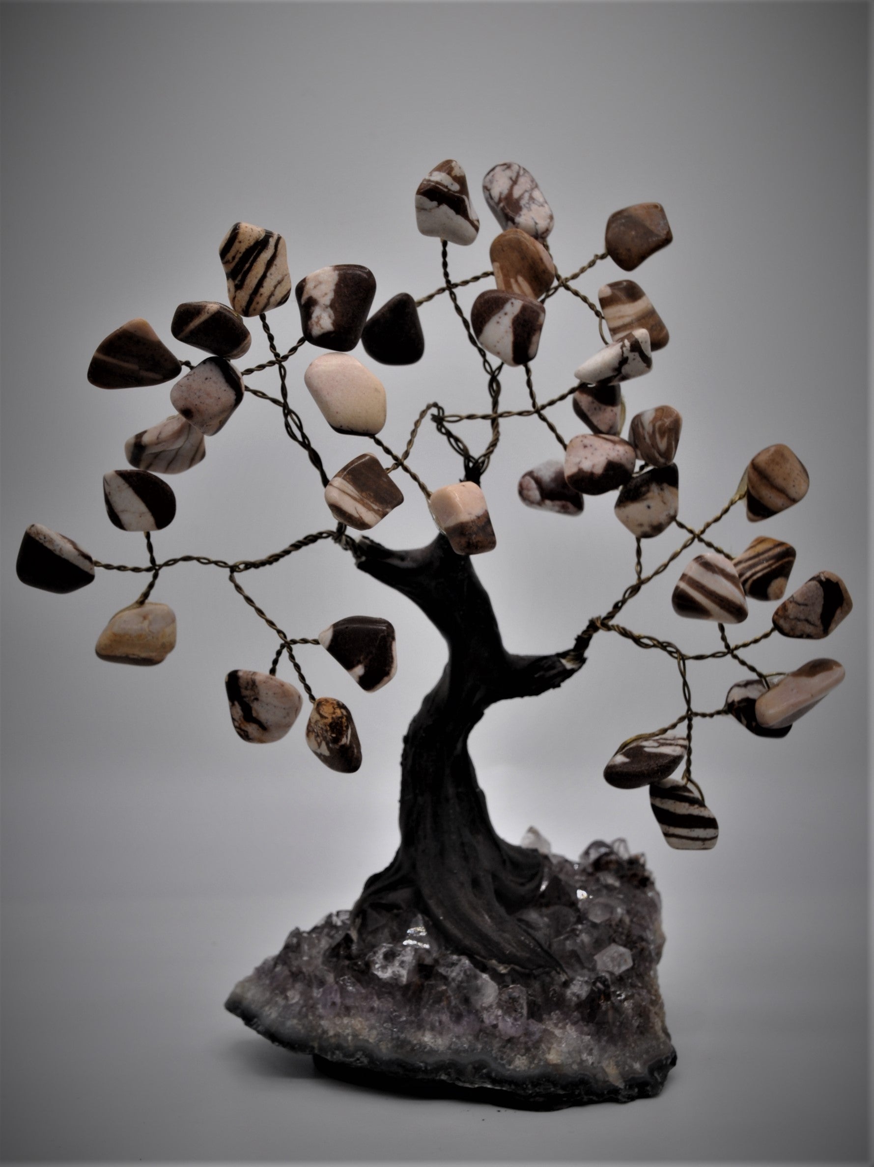 Zebra Jasper Australian Bonsai Tree 5"