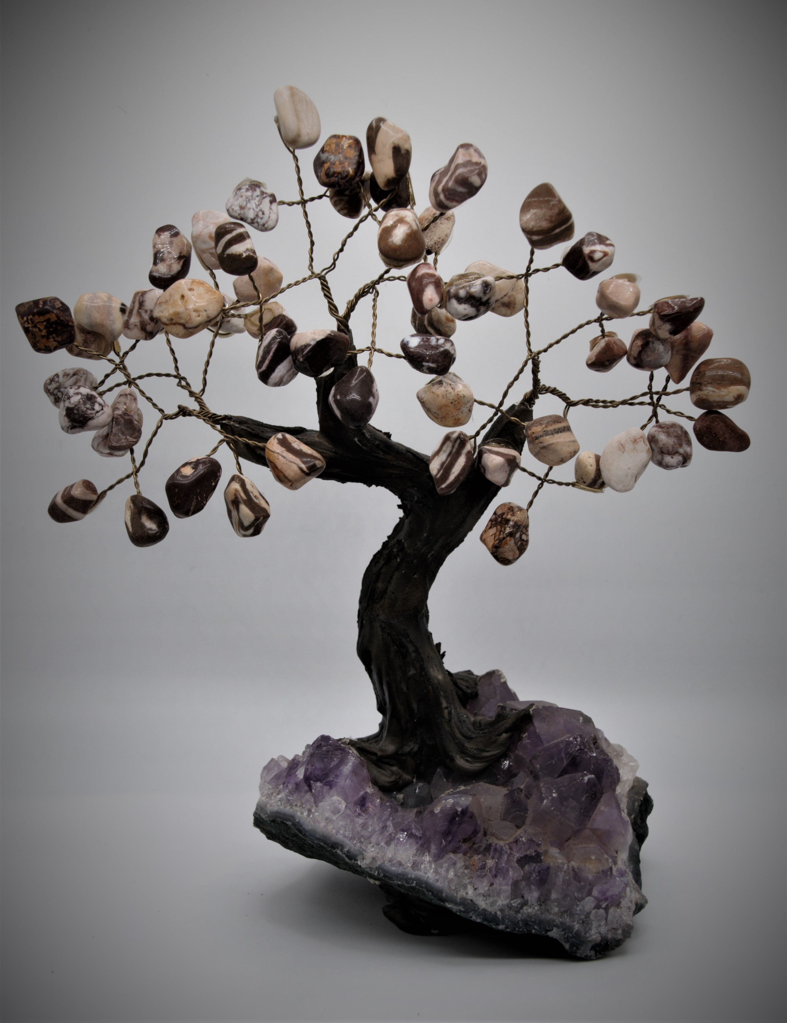 Zebra Jasper Australian Bonsai Tree 7"