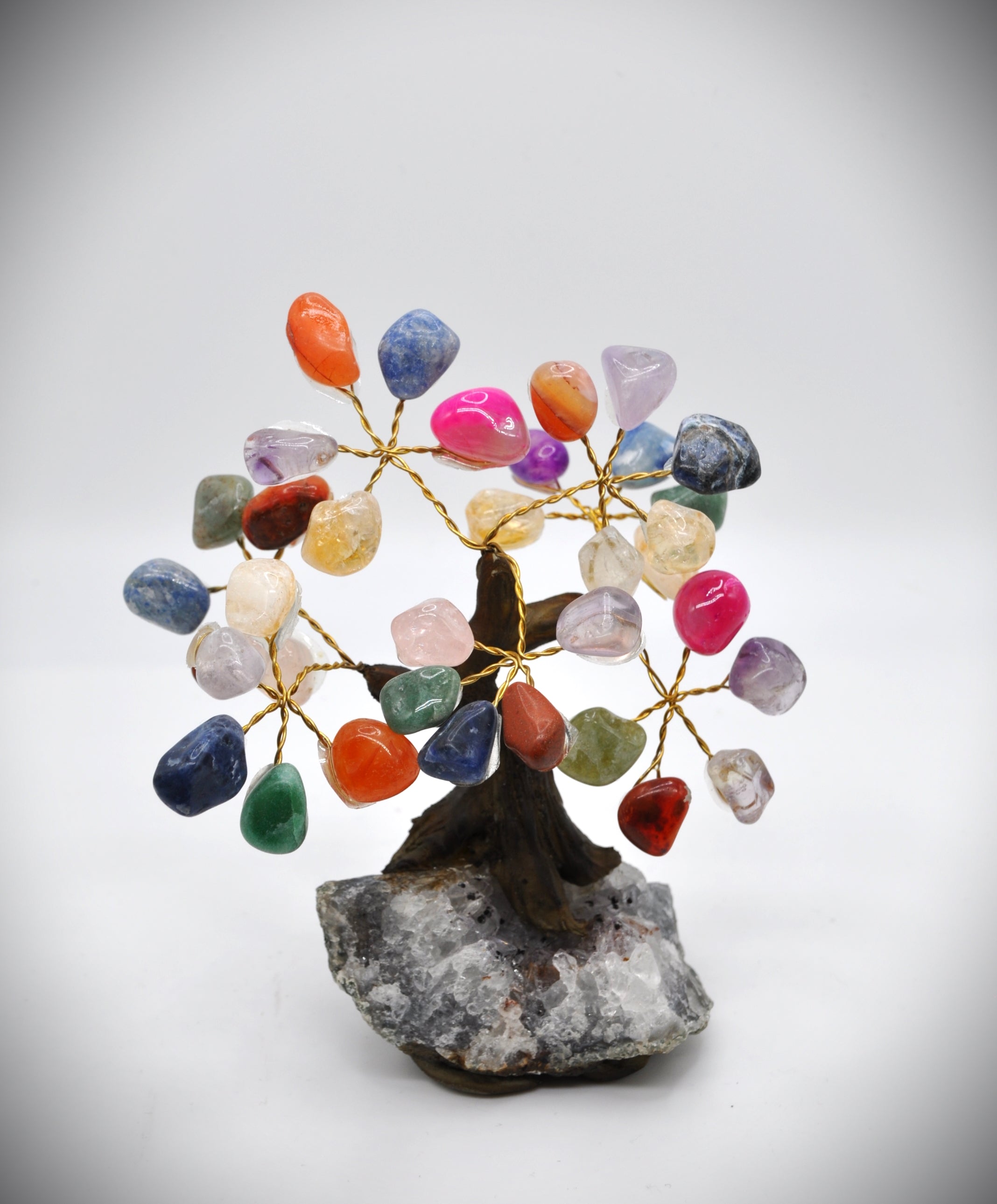 Mix Bonsai Tree 5"